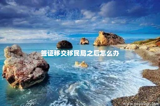 签证移交移民局之后怎么办